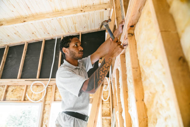 Best Local Insulation Services  in Ferry Pass, FL
